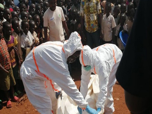 Hầu hết các vụ dịch Ebola xảy ra ở châu Phi và được cho là có nguồn gốc từ dơi